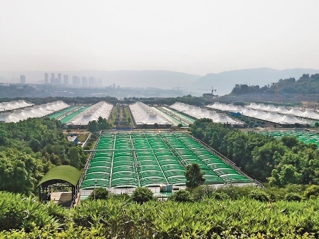 重慶雞冠石污水處理廠